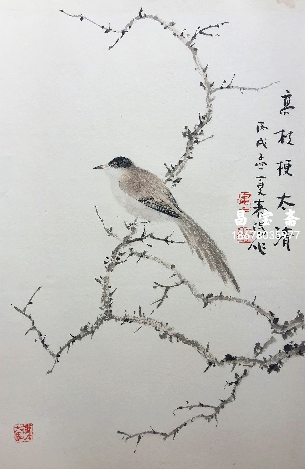 IMG_2972_副本_副本.jpg